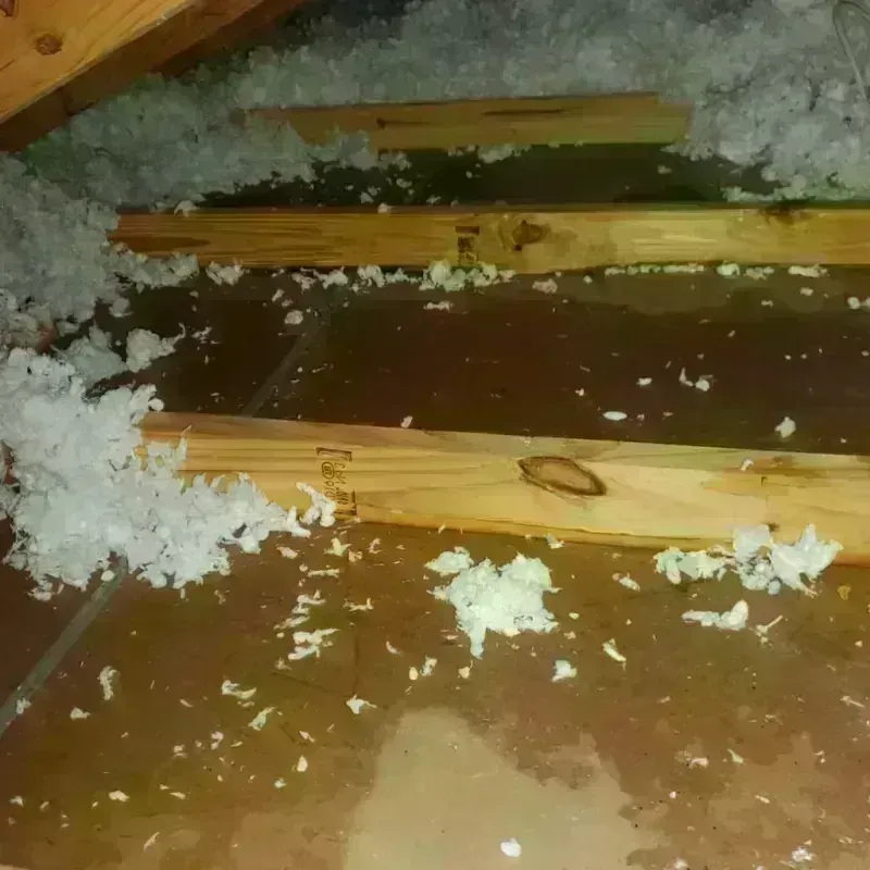 Attic Water Damage in Grafton, WV